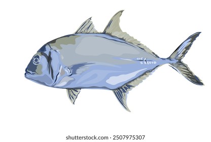 illustration of trevally fish without background