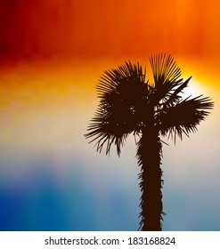 Illustration tropical background with palm tree at sunset - vector