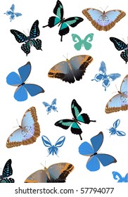 illustration with tropical butterfly background