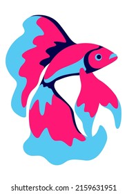 Illustration of tropical cockerel fish. Aquarium and sea animal.