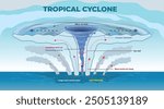 illustration of tropical cyclone diagram - vector