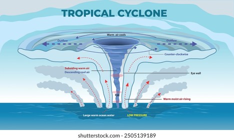 illustration of tropical cyclone diagram - vector