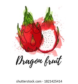 illustration  of  tropical Dragon fruit. Vector watercolor background. Graphics for cocktails, fresh juice design. Natural organic food label