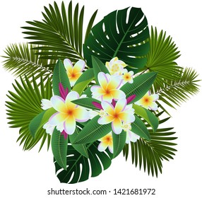 Illustration of tropical floral card template with plumeria flowers and palm leaves isolated
