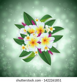 Illustration of tropical floral card template with plumeria flowers and glitter background
