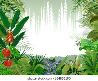 Illustration of tropical forest