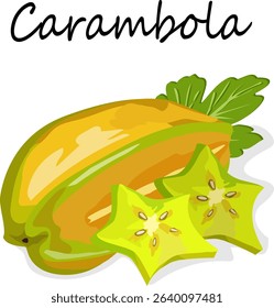 Illustration with tropical fruit.Color vector illustration with tropical fruit carambola.