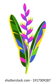 Illustration of tropical heliconia flower. Decorative exotic plant.