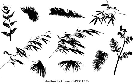 illustration with tropical leaves collection on white background