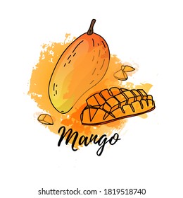 Illustration von tropischen Mango-Früchten. Vektorwasserfarbener Hintergrund. Grafiken für Cocktails, frischer Saft. Natürliches ökologisches Lebensmitteletikett