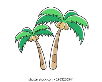Illustration of a tropical palm tree.