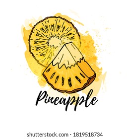 Illustration von tropischen Ananas. Vektorwasserfarbener Hintergrund. Grafiken für Cocktails, frischer Saft. Natürliches ökologisches Lebensmitteletikett