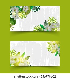 Illustration of  tropical plant banner