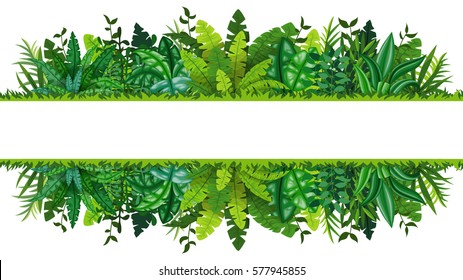 Illustration of a tropical rainforest banner