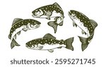 illustration of trout in various poses, for logo design,fishing illustration, nature and outdoor activity design or etc.