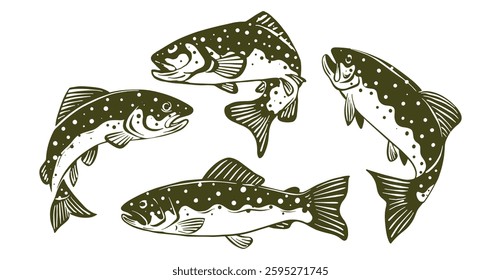 illustration of trout in various poses, for logo design,fishing illustration, nature and outdoor activity design or etc.