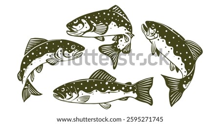 illustration of trout in various poses, for logo design,fishing illustration, nature and outdoor activity design or etc.