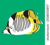 Illustration of a True Falcula Butterfly Fish