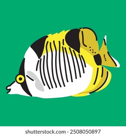 Illustration of a True Falcula Butterfly Fish
