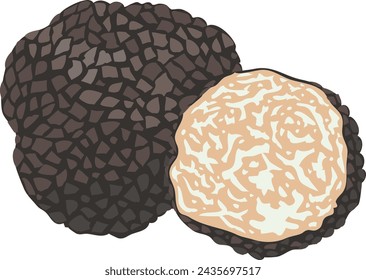 It is an illustration of a truffle