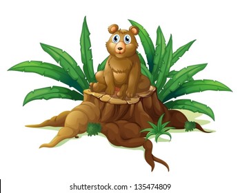 Illustration of a trunk with a giant bear on a white background
