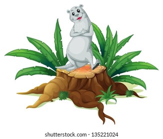 Illustration of a trunk with a sealion on a white background