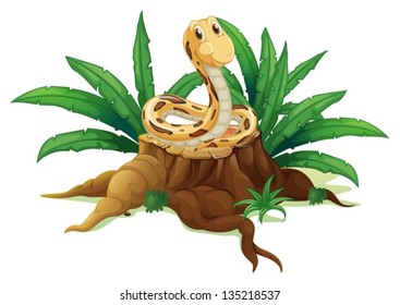 Illustration of a trunk with a snake on a white background