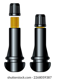 Illustration of a tubeless tire american valve