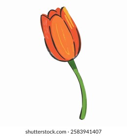 Illustration of Tulip for Floral and Spring Themed Graphics Floral arrangements, springtime graphics, greeting cards