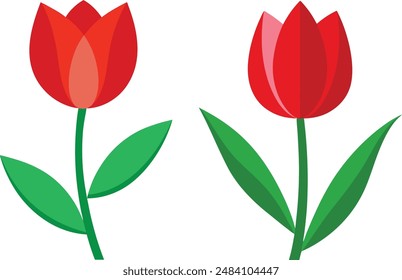 illustration of tulip flower set