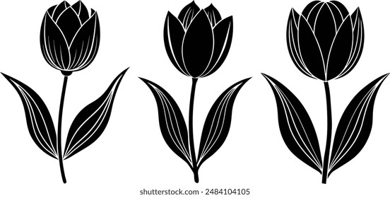 illustration of tulip flower set silhouette