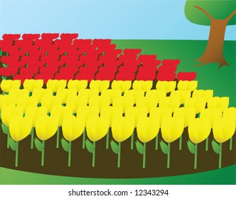 Illustration of tulip flowerbed