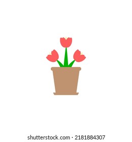 Illustration of tulip flowers blooming in a brown pot on white background. (seasonal, park, garden, plant, floral, blooming in spring, summer, outdoors)
