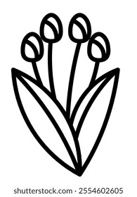 Illustration of tulips flower, tulips bud vector