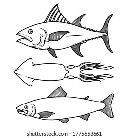 Illustration of tuna, squid, salmon in line style. Design element for logo, label, sign, poster, t shirt. Vector illustration