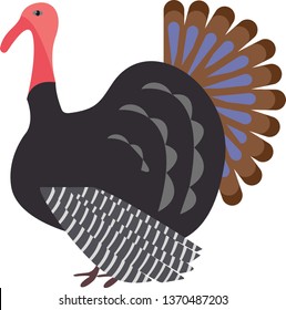 Illustration of turkey