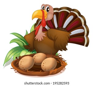 Illustration of a turkey beside the nest with eggs on a white background