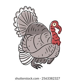 Illustration of turkey bird with detailed feathers and bright red wattle, designed in doodle style, symbolizing Thanksgiving and autumn harvest celebrations. Vector hand drawn drawing