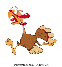 Poule Humour Images Et Images Vectorielles De Stock Shutterstock