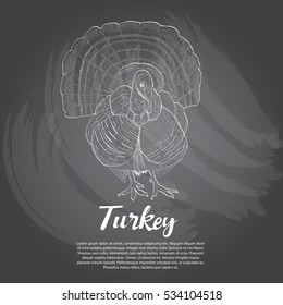 illustration of turkey chalk drawing style