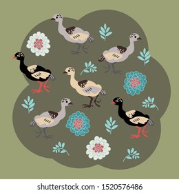illustration with with Turkey Chicks, vector design