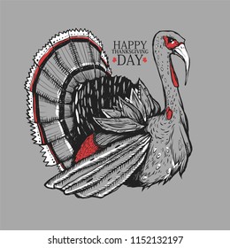 Illustration with turkey. Graphic drawn bird. Engraving style. Good for the cards to Thanksgiving day.