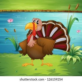 Illustration of a turkey near the pond