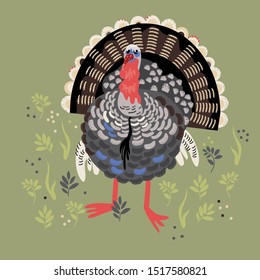 illustration with turkey and plants, vector design