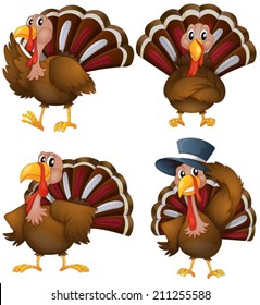 Illustration of a turkey set