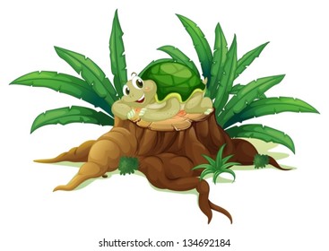 Ilustración de una tortuga sobre un tronco en un fondo blanco