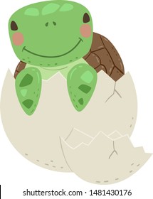 Illustration of a Turtle Being Hatched From Egg