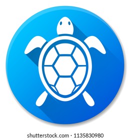 Illustration of turtle blue circle icon design