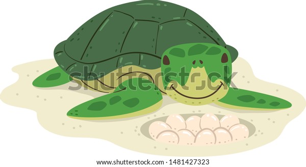 Illustration of a Turtle\
with Eggs on Sand