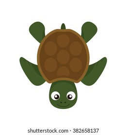 Illustration of turtle in flat style